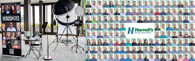 Corporate headshots in Tampa — on-site mobile studio setup and full team headshot collage.