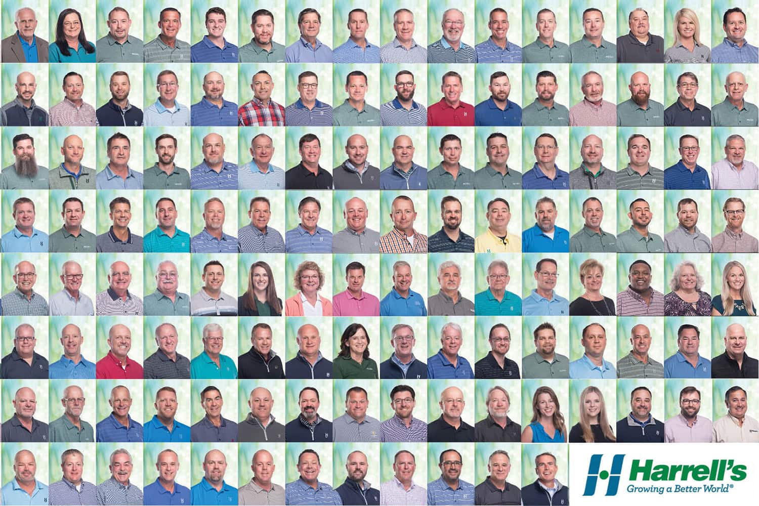 A large group photo of Harrell's LLC 147 employees, demonstrating high-volume on-site corporate headshots in Tampa and Central Florida.